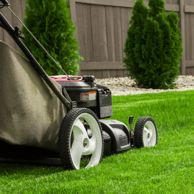 LAWN MAINTENANCE